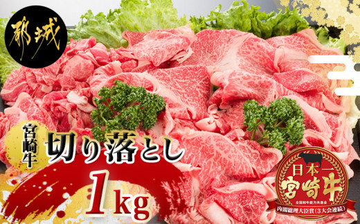 宮崎牛切り落とし1kg_MJ-6405_(都城市) 500g×2パック 計1キロ 冷凍保存