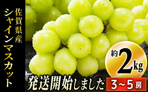 TKB5-018 佐賀県産シャインマスカット 約２kg（３?５房）のサムネイル