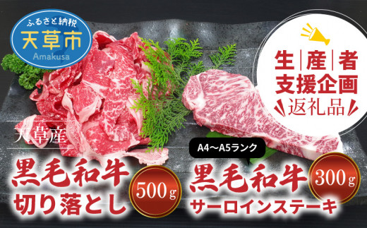 S001-C022_【生産者支援】熊本県天草産黒毛和牛サーロインステーキ300g（A4～A5ランク）・切り落とし500gのサムネイル