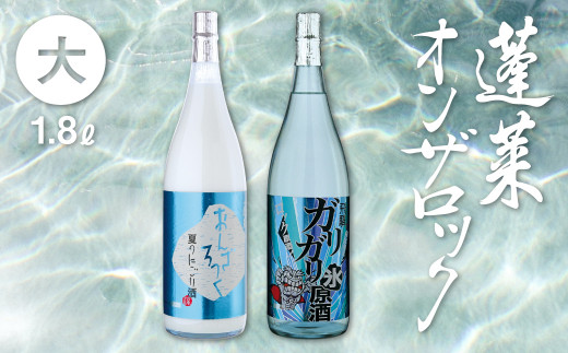 期間限定門外不出の秘造原酒 非売品の酒 日本酒 吟醸酒 辛口 飛騨