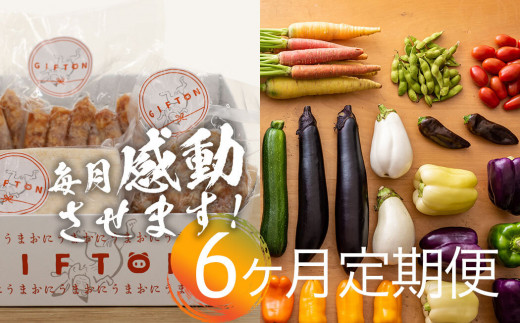 【6ヶ月定期便】北上産 旬の野菜と四元豚ギフトハーフのセット GIFTON