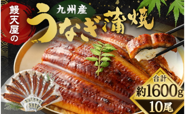 鰻天屋の九州産うなぎ 蒲焼 10尾 セット（1尾約160g） - 福岡県北九州市｜ふるさとチョイス - ふるさと納税サイト