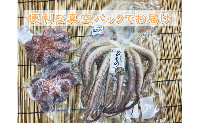 南知多産 茹でたこ 真蛸の干物セット 愛知県南知多町 ふるさと納税 ふるさとチョイス