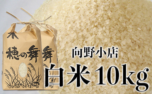 お値下げ分は終了！大分県杵築市産山香米お米30㎏