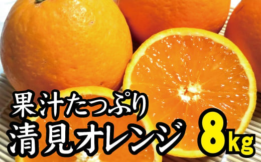 光センサー選別／ 【農家直送】果汁たっぷり！清見オレンジ 約8kg