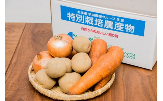 秋の野菜4品セット 北海道恵庭市 ふるさと納税 ふるさとチョイス