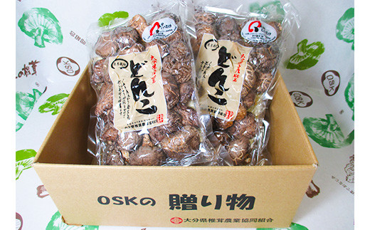【大分県九重町】大分県産 どんこ椎茸 2個セット 100g×2袋 乾しいたけ きのこ