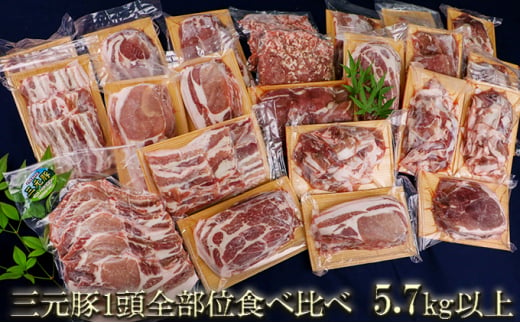 【宮城県涌谷町】[��5706-0247]涌谷町産三元豚1頭全部位食べ比べセット 5.7kg以上