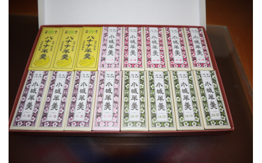 村岡総本舗 小型小城羊羹１６本詰 佐賀県npo支援 ふるさと納税 ふるさとチョイス