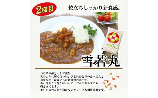 406t10 定期便 庄内ライスおすすめ5銘柄食べ比べ5kg 5ヶ月 10月 2月 山形県遊佐町 ふるさと納税 ふるさとチョイス