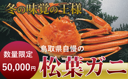 倉吉魚市 ボイル松葉がに 大 鳥取県倉吉市 ふるさと納税 ふるさとチョイス