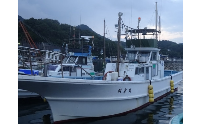 多比港 沼津 から駿河湾へ 明栄丸釣船乗船券 静岡県沼津市 ふるさと納税 ふるさとチョイス