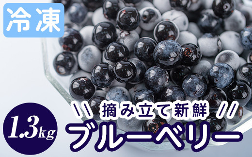 ふるさと納税 鹿児島県 霧島市 P4-004-02 国産！霧島ベーシックテーブル(1台・W130) 横幅：W130 A-050 霧島市産ブルーベリー1.3kg(冷凍)霧島農産加エグループ