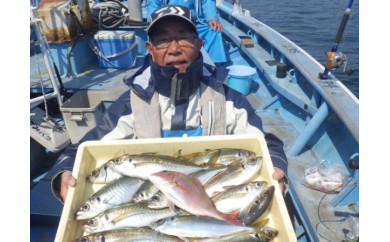 師崎漁協 中物乗合1人利用券 釣り船 愛知県南知多町 ふるさと納税 ふるさとチョイス