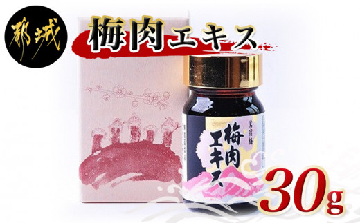 徳重おばあちゃんがつくった昔ながらの3年熟成梅干600g - (都城市