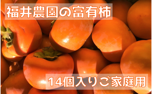 05S-0013 【柿の王様】福井農園の富有柿ご家庭用M・Lサイズ(14個)