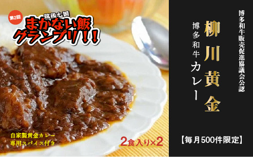 A0 045 柳川 黄金 博多和牛カレー 福岡県柳川市 ふるさと納税 ふるさとチョイス