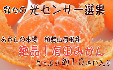 有田みかん 10kgの人気商品 通販 価格比較 価格 Com 有田みかん 10kgの人気商品 通販 価格比較 価格 Com