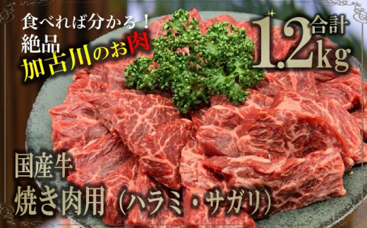 国産牛 焼肉用 ハラミ サガリ 1 2kg 兵庫県加古川市 ふるさと納税 ふるさとチョイス