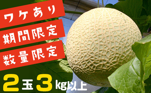 訳あり 純系マスクメロン２玉 ３kg以上 期間限定 千葉県富津市 ふるさと納税 ふるさとチョイス