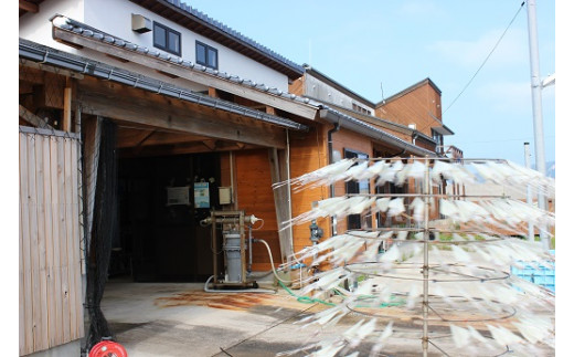 しいしび 島獲れ絶品冷凍白イカ2袋セット 島根県海士町 ふるさと納税 ふるさとチョイス