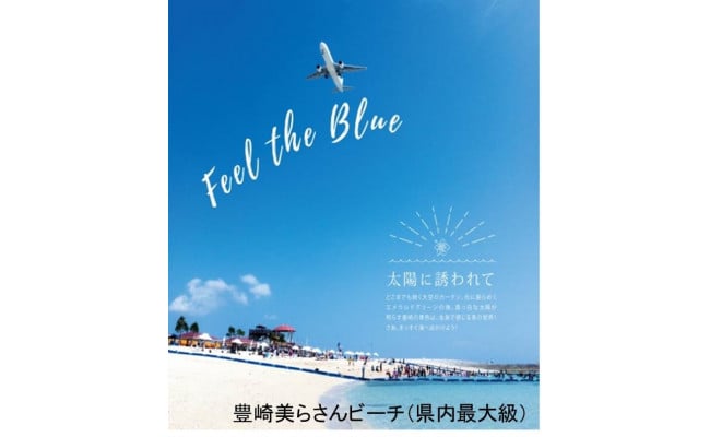 豊崎海浜公園 瀬長島等 Jtbふるさと納税旅行クーポン 30 000円分 沖縄県豊見城市 ふるさと納税 ふるさとチョイス