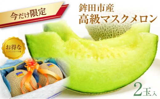 【期間限定】茨城県鉾田市産 高級マスクメロン（アールスメロン）2玉入のサムネイル