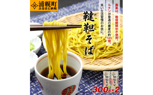 北海道産 韃靼そば「満天きらり」の乾麺 300g×2袋 - 北海道浦幌町