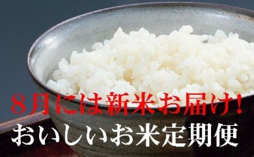 お米定期便 おいしい土佐の米よさこい舞 偶数月１０kg P 13 高知県香南市 ふるさと納税 ふるさとチョイス