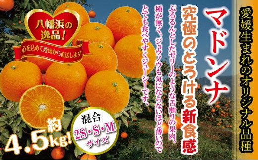 C39-31.ぷるぷる新食感!!「マドンナ」約4.5kg