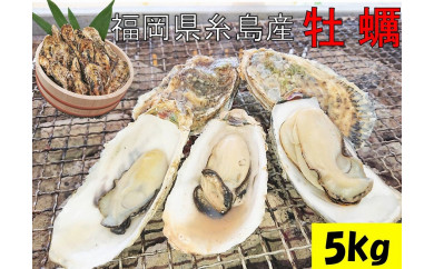 殻付き生食用福吉の牡蠣5kg 福岡県糸島産 福岡県糸島市 ふるさと納税 ふるさとチョイス