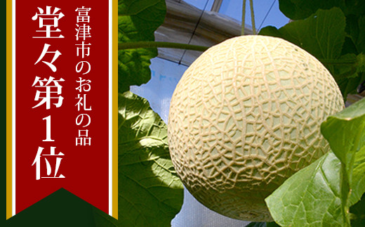 最高級 純系マスクメロン２玉 化粧箱入 千葉県富津市 ふるさと納税 ふるさとチョイス