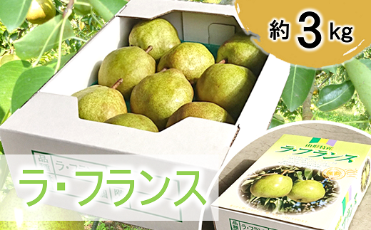 1062 令和2年11月上旬 発送予定 ラ フランス 約３ 8玉 10玉 山形県南陽市 ふるさと納税 ふるさとチョイス