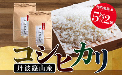 新米】特A ランク米【特別栽培米】丹波篠山産コシヒカリ 2kg 5袋