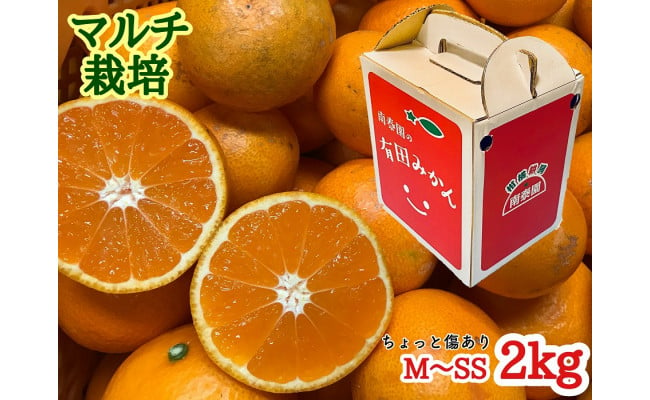 ちょっと傷あり【マルチ栽培・有田みかん】M~SSサイズ／約2kg（手さげ