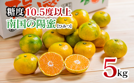 極早生みかん5kg「南国の陽蜜」宮崎県西都産 ミカン 蜜柑＜1-220