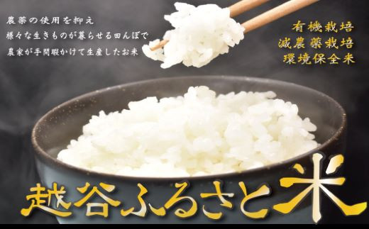 15 越谷ふるさと米 10ｋｇ 埼玉県越谷市 ふるさと納税 ふるさとチョイス