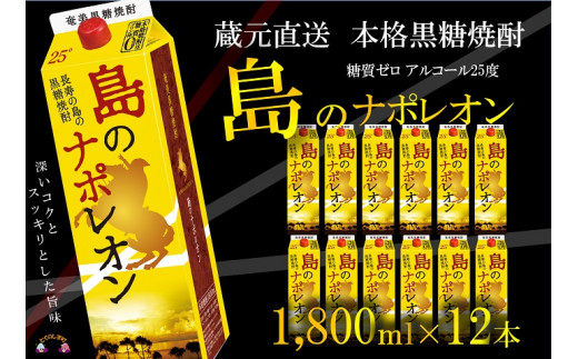 93【蔵元直送便】本格黒糖焼酎 島のナポレオン1800mlパック×12本