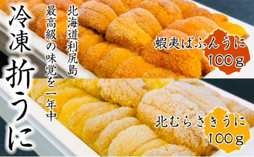 大特価 ムラサキウニ 北海道産うに 折ウニ 100g 21公式店舗 Blog Knife Depot Com