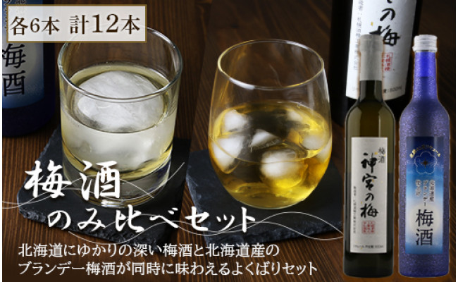 梅酒のみ比べセット 合計12本 神宮の梅 梅酒 12 梅酒 北海道産ブランデー仕上げ 12 北海道札幌市 ふるさとチョイス ふるさと納税サイト