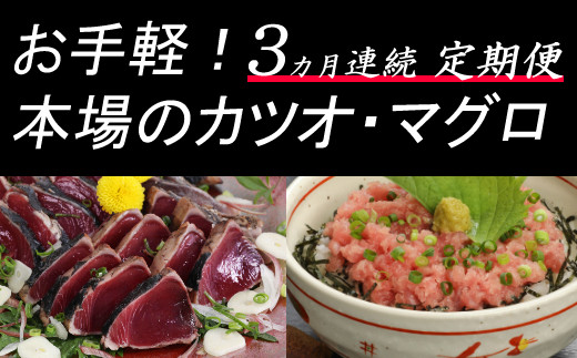 ３ヶ月連続 カツオとマグロ堪能定期便ａ 高知県室戸市 ふるさと納税 ふるさとチョイス