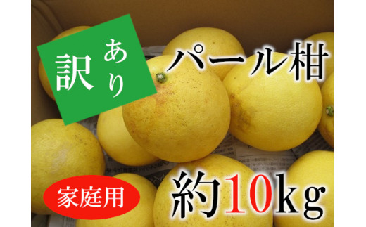 64-51 あいあい 【家庭用】 訳ありパール柑 約10ｋｇ - 熊本県宇土市