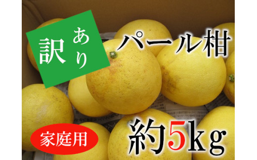 64 52 あいあい 家庭用 訳ありパール柑 約5ｋｇ 熊本県宇土市 ふるさと納税 ふるさとチョイス