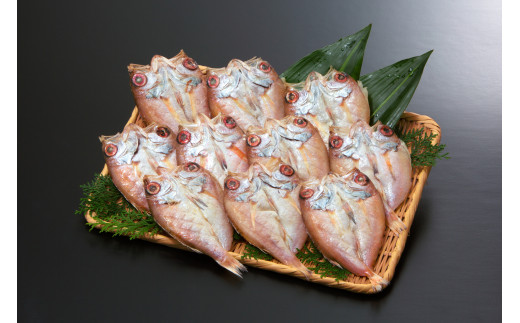 B263 のどぐろ一夜干10尾 N50pf 島根県大田市 ふるさと納税 ふるさとチョイス