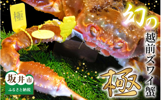 y䌧szydbAňSz    zOYCI wɁx 1t Ԃ1.5kgȏ s2025N12 eʌt [W-1603_12]