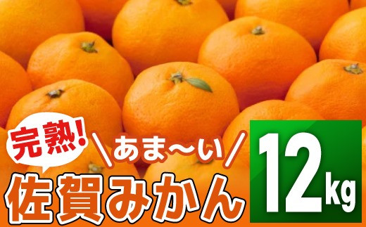 ふるさと納税 みかん 柑橘類 おすすめランキング コスパ比較も 21年 ふるさと納税ガイド