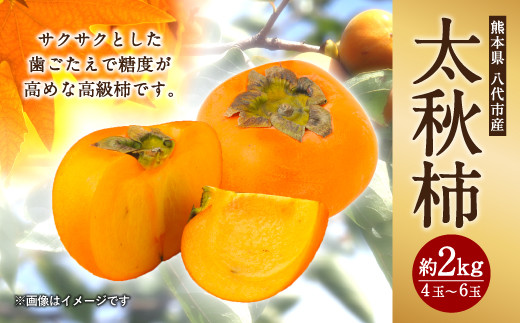 令和2年度 太秋柿 約2kg 柿 かき フルーツ 熊本県八代市 ふるさと納税 ふるさとチョイス