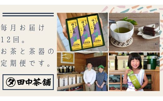 【毎月お届け12回】特上煎茶八重100g2本と季節の茶100g1本(急須付き) 【定期便 九州 お茶 緑茶 急須 フィルターインボトル  定期便】(H047113)