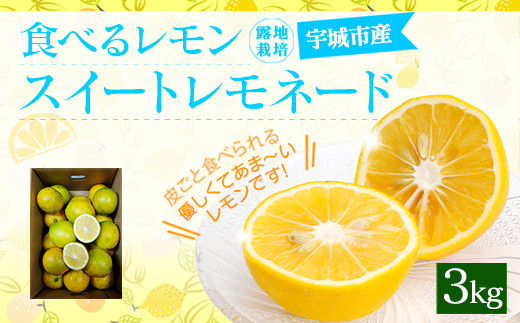 食べるレモン スイートレモネード 約3kg 吉田レモニー 檸檬 柑橘 熊本県宇城市 ふるさと納税 ふるさとチョイス