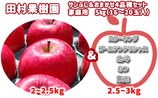 りんご サンふじ おまかせ4品種セット 家庭用5kg 11月中旬 出荷 秋田県鹿角市 ふるさと納税 ふるさとチョイス